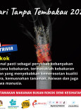 Hari Tanpa Tembakau: Rokok